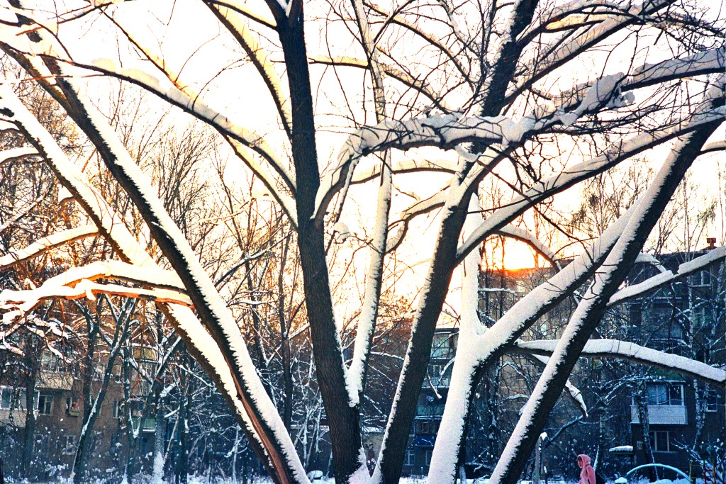 1967