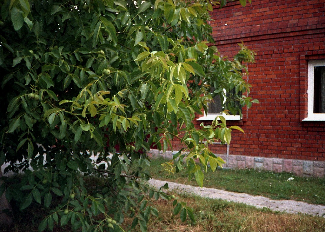 1_2_3200_062-2