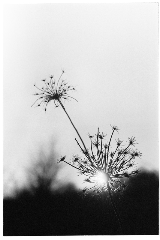 20065122
