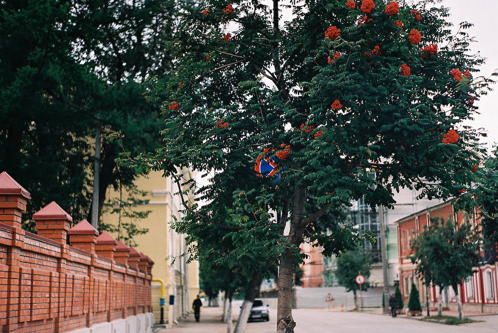 20090921-CNV000015