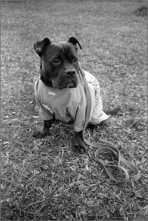 2411_Y35ME_Foma400_0013_web
