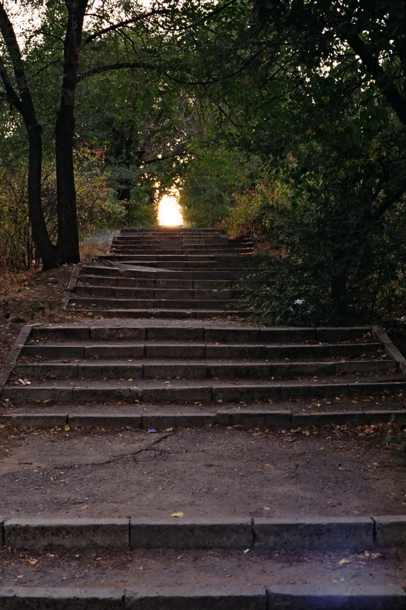 24_1