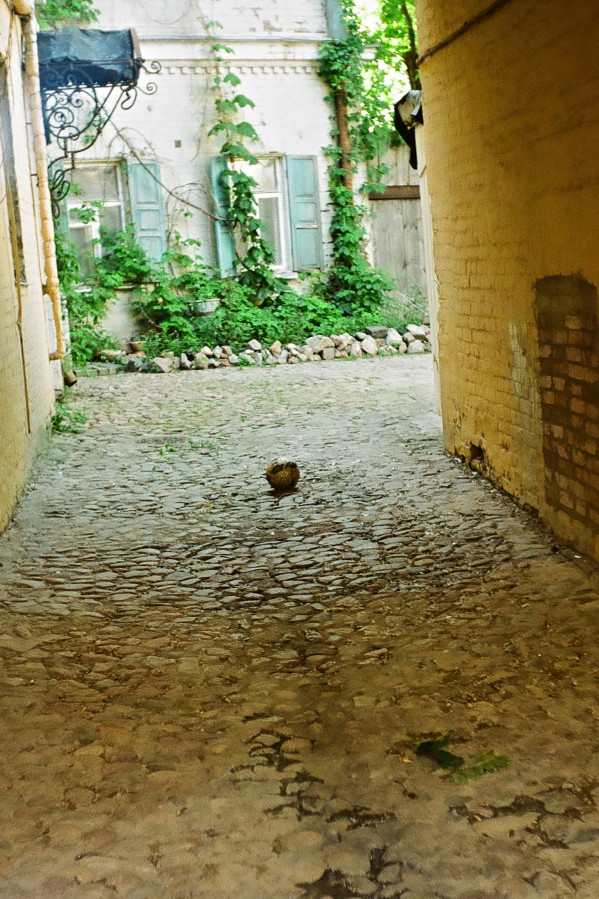 28930011_-_Version_3