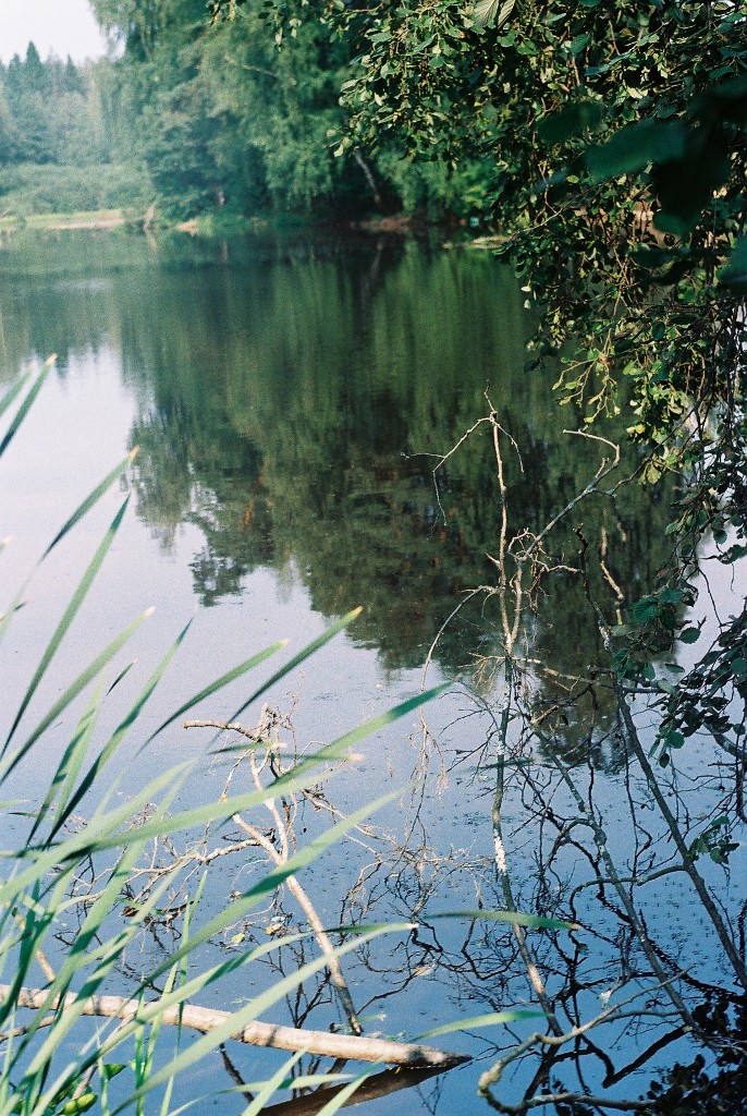 CNV000020