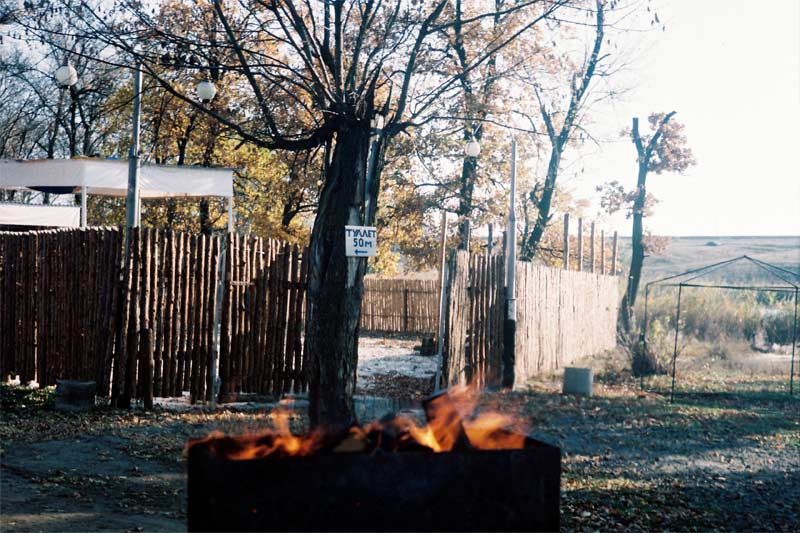 F10000281