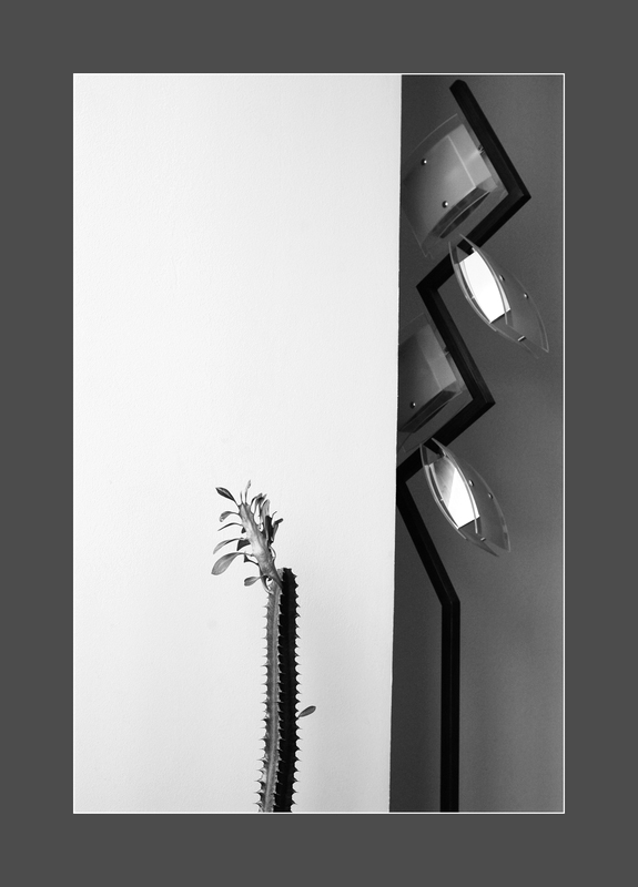 IGP3226_10_15-qpr