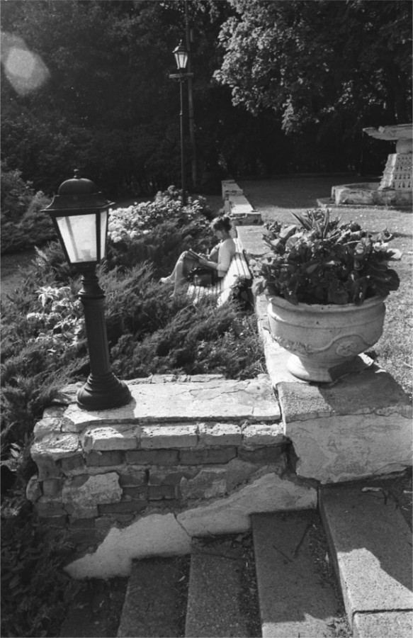 IMG019542