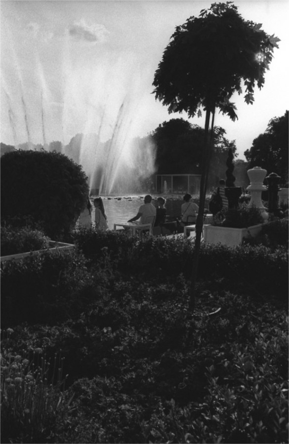 IMG019661