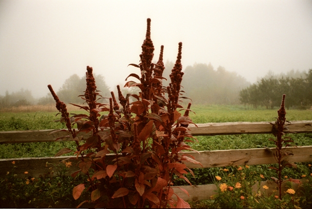 Image3_1