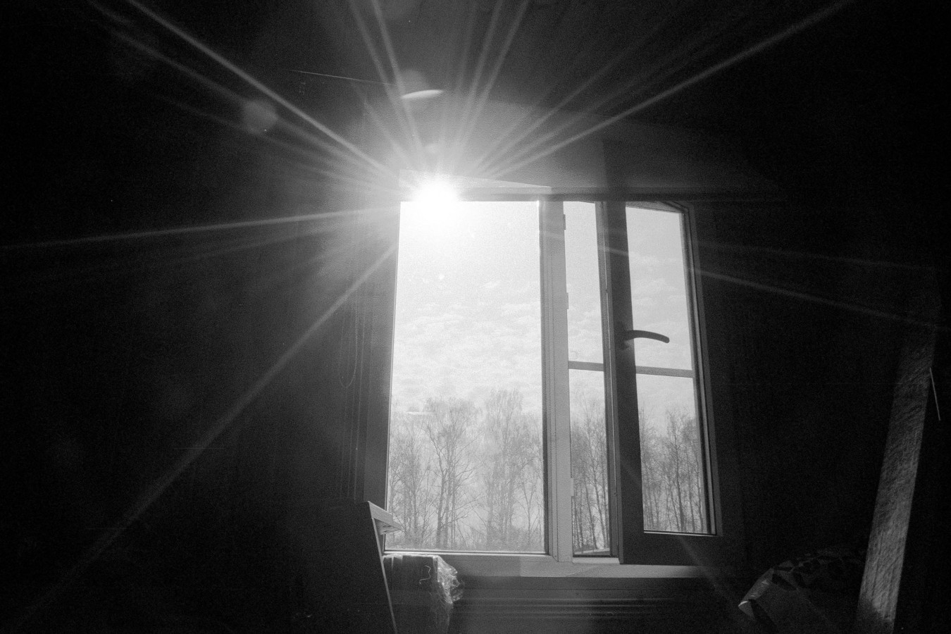 NIKON_F80_FOMAPAN_100_RDN-LQ_1-50_9_min_05_2018_3_