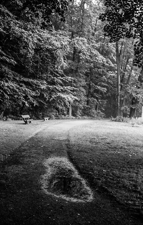Negative0-02-02_1_