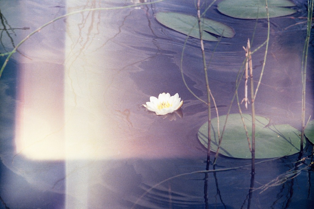 Negative0-24-42_1_