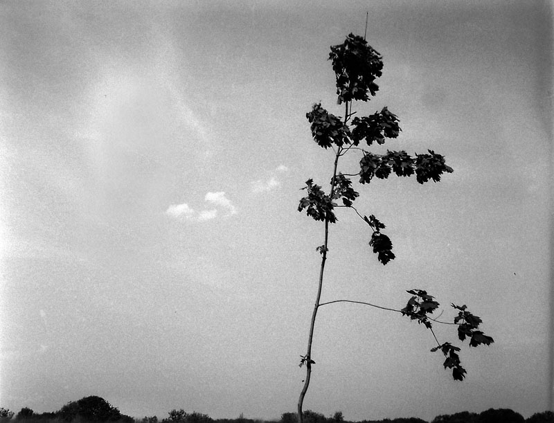 P8154613s