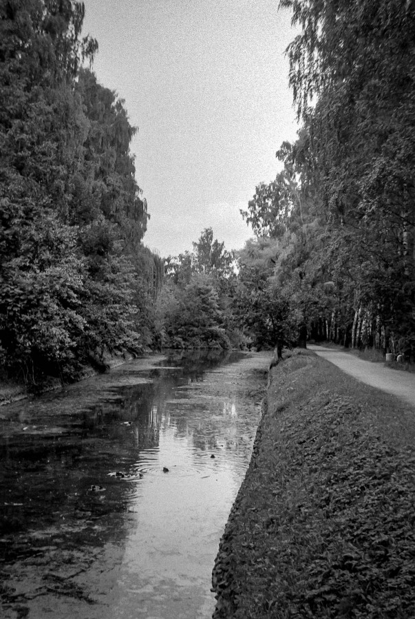 SMENA_8M_FOMAPAN_100_at_200_RDN-LQ_1x50_12_min_august_2022_010980