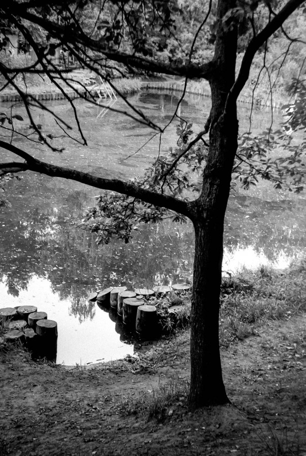 SMENA_8M_FOMAPAN_100_at_200_RDN-LQ_1x50_12_min_august_2022_014334554
