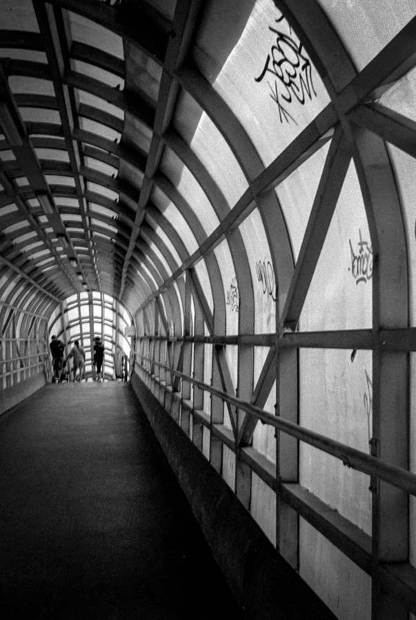 SMENA_8M_FOMAPAN_100_at_200_RDN-LQ_1x50_12_min_august_2022_141