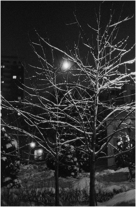 Scan-110126-0002