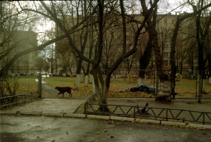 Scan-110305-0028_800