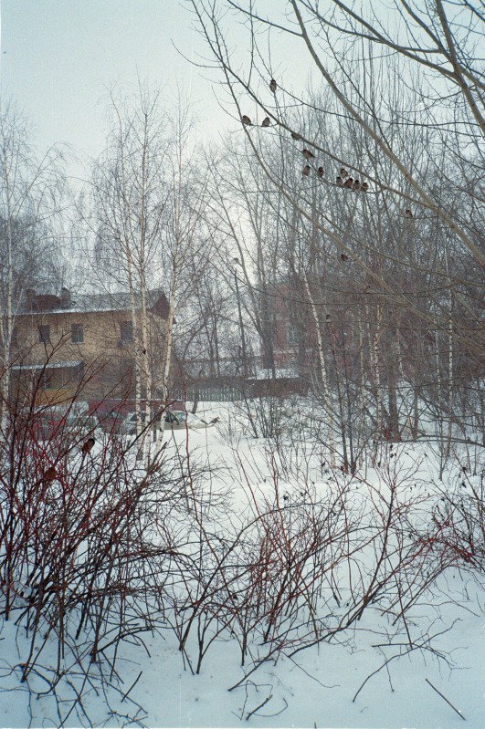 Scan-130331-0054_800