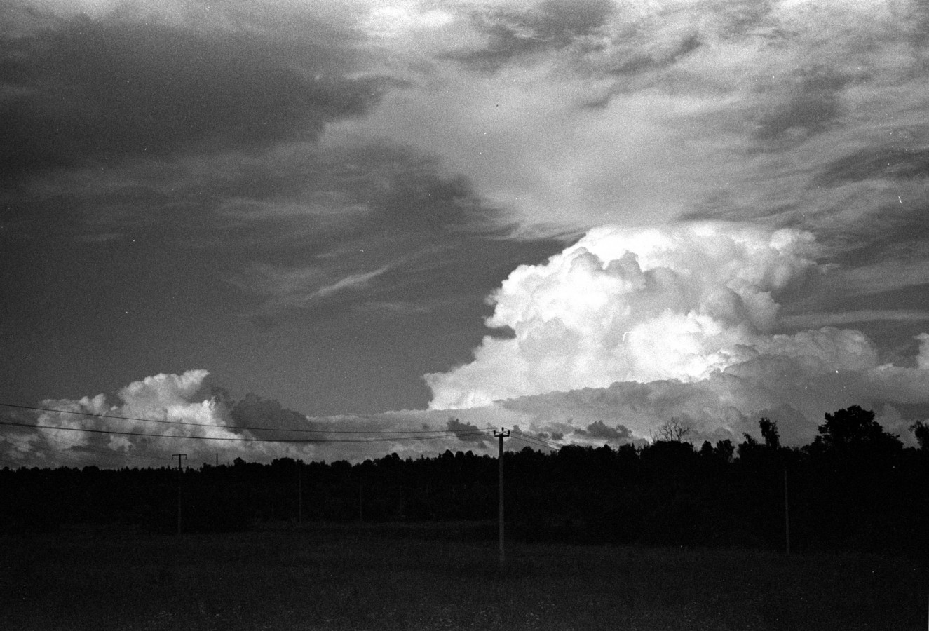 Scan-180706-0019