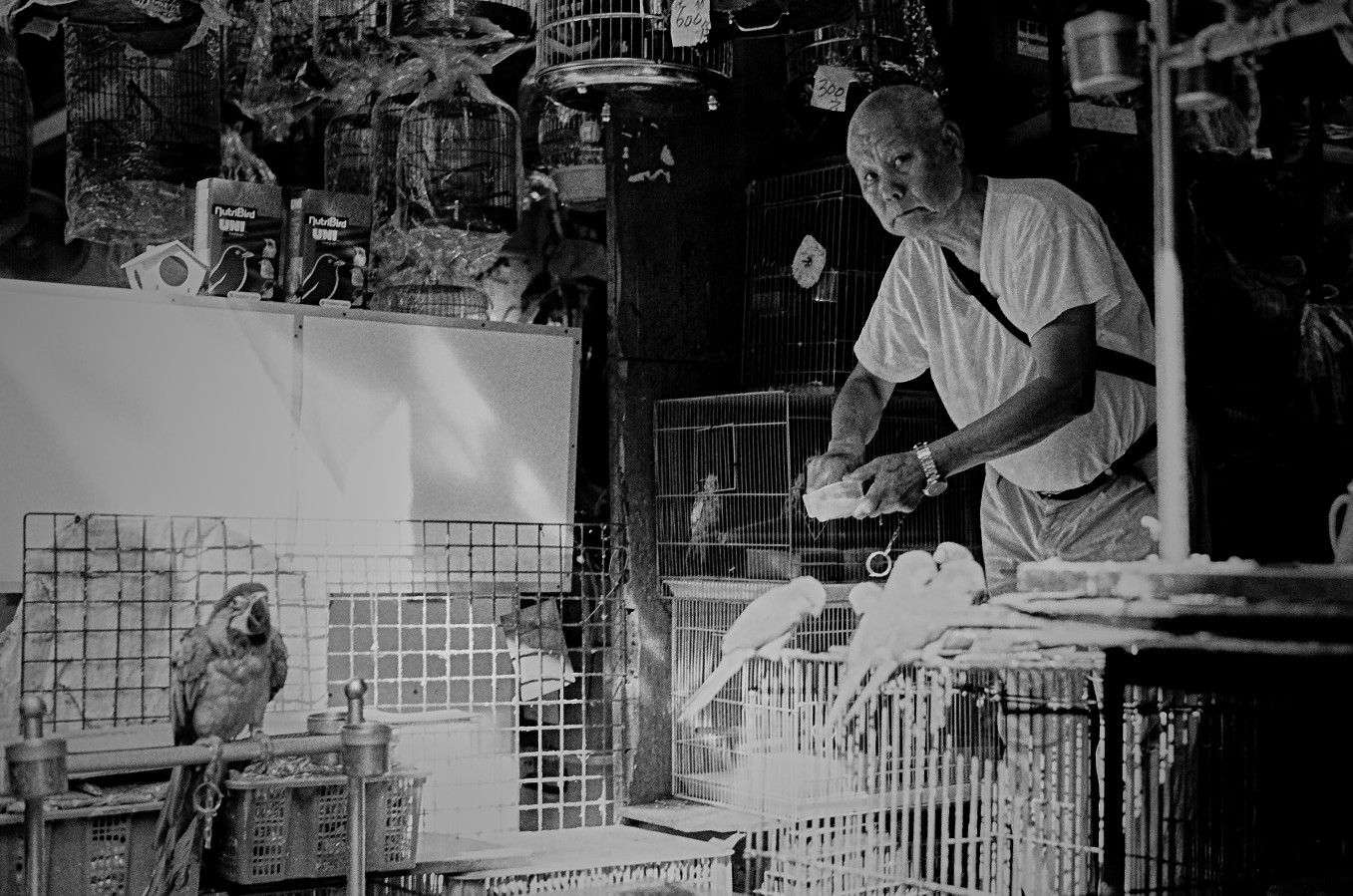 TRIX_400_M3_50MM