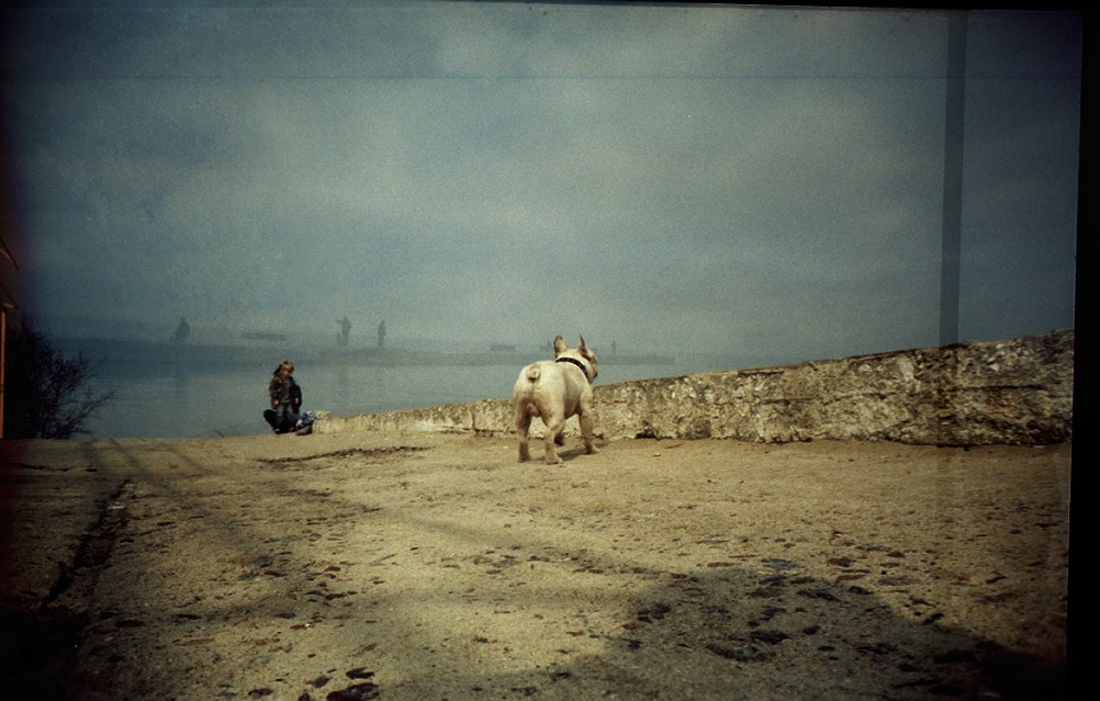 Untitled-215