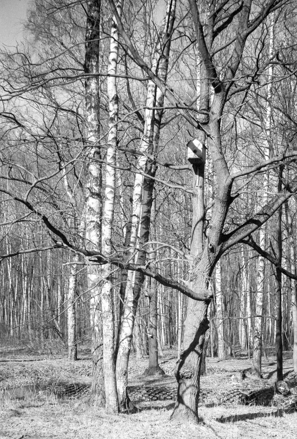 ZORKI_1_ILFORD_PAN_100_at_200_RDN_1-25_13_min_20C_APRIL_2025-0007