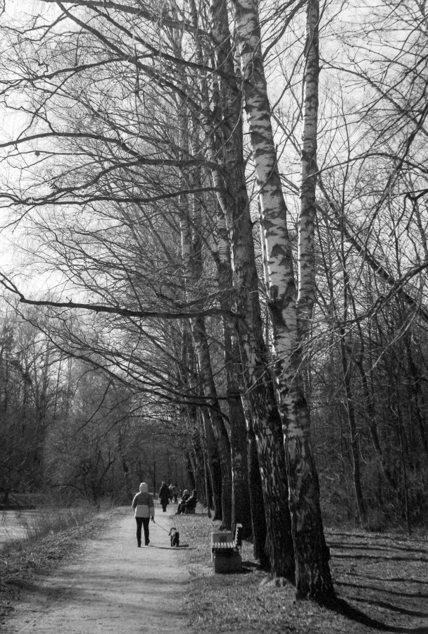 ZORKI_1_ILFORD_PAN_100_at_200_RDN_1-25_13_min_20C_APRIL_2025-0011