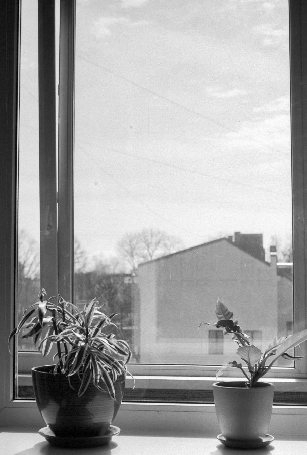 ZORKI_1_ILFORD_PAN_100_at_200_RDN_1-25_13_min_20C_APRIL_2025-0020