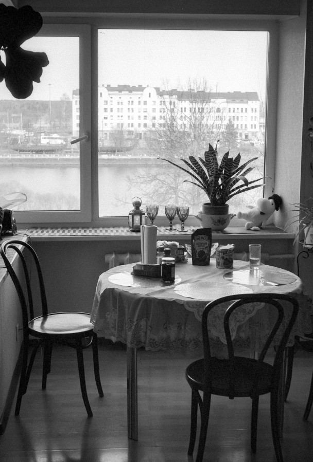 ZORKI_1_ILFORD_PAN_100_at_200_RDN_1-25_13_min_20C_APRIL_2025-0025