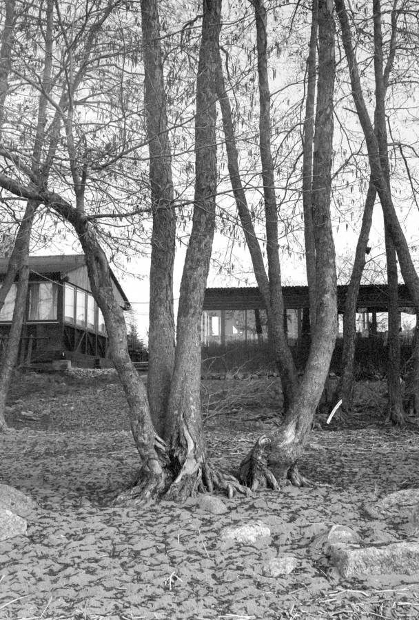 ZORKI_3M_ILFORD_PAN_100_at_200_RDN_1-25_13_min_20C_APRIL_2025-0013