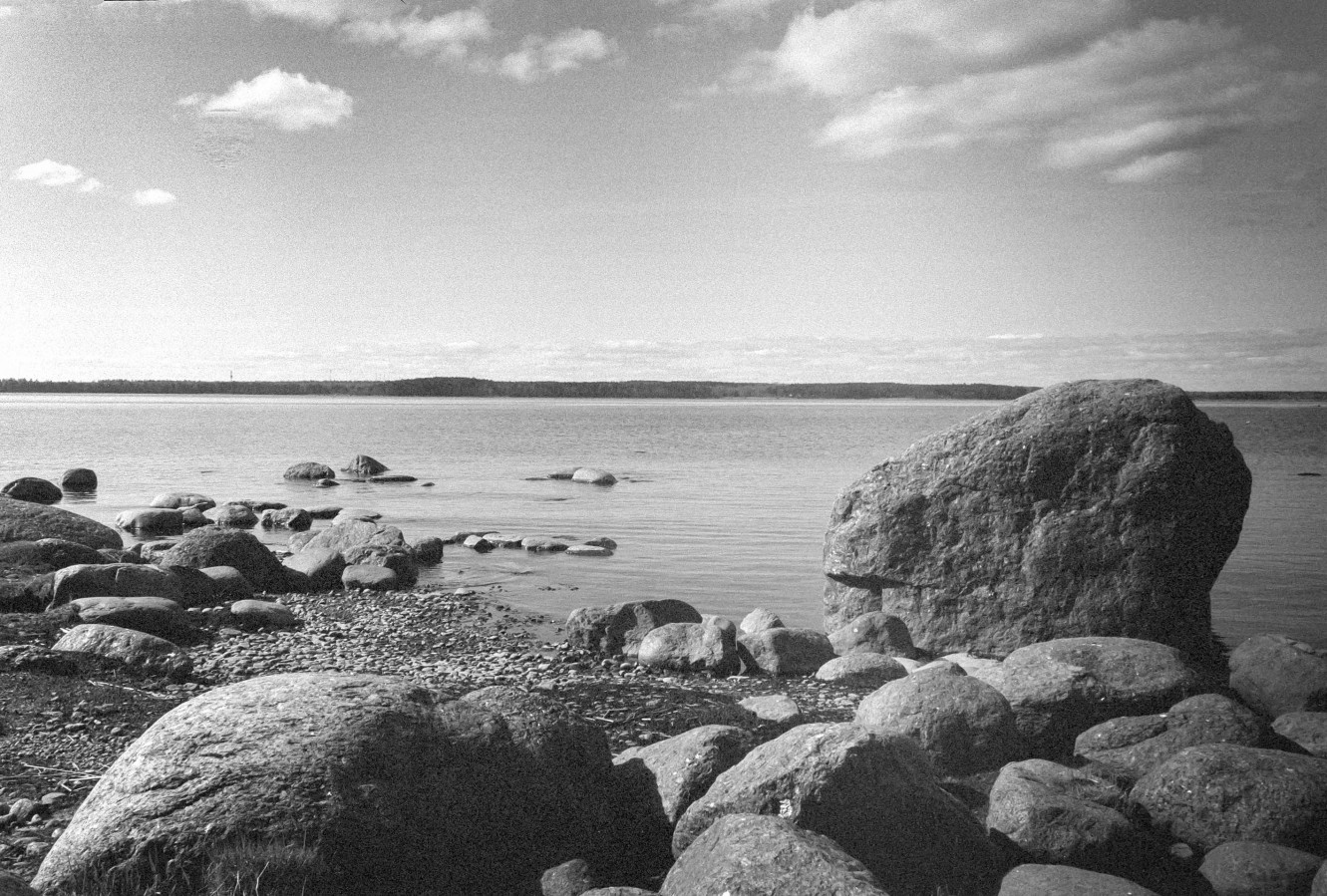 ZORKI_3M_ILFORD_PAN_100_at_200_RDN_1-25_13_min_20C_APRIL_2025-0025
