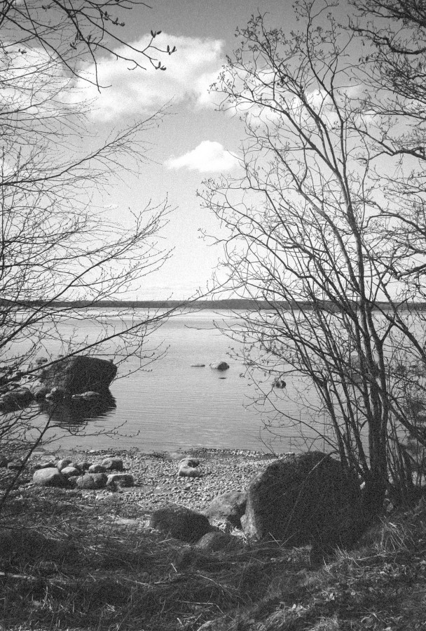 ZORKI_3M_ILFORD_PAN_100_at_200_RDN_1-25_13_min_20C_APRIL_2025-0032
