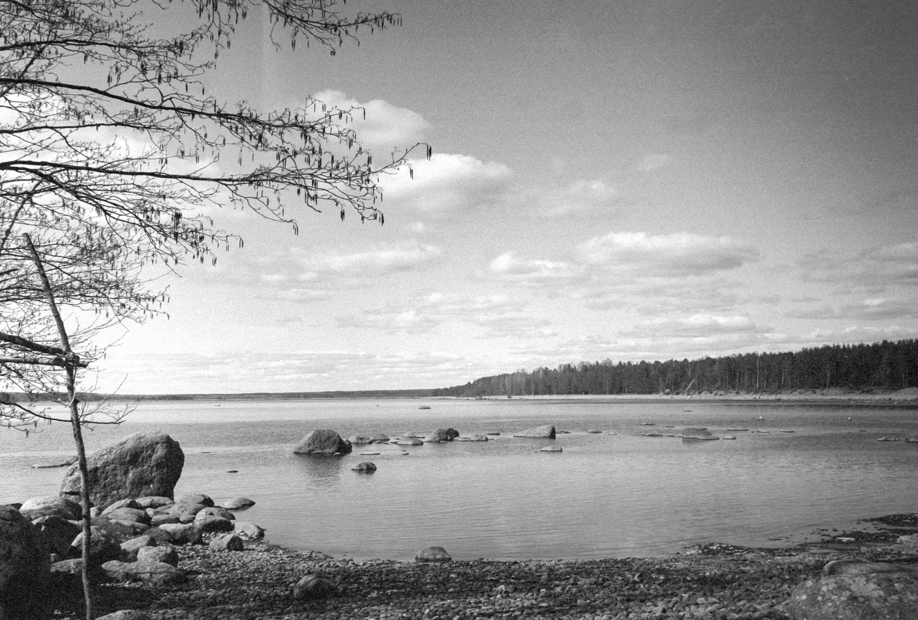 ZORKI_3M_ILFORD_PAN_100_at_200_RDN_1-25_13_min_20C_APRIL_2025-0033