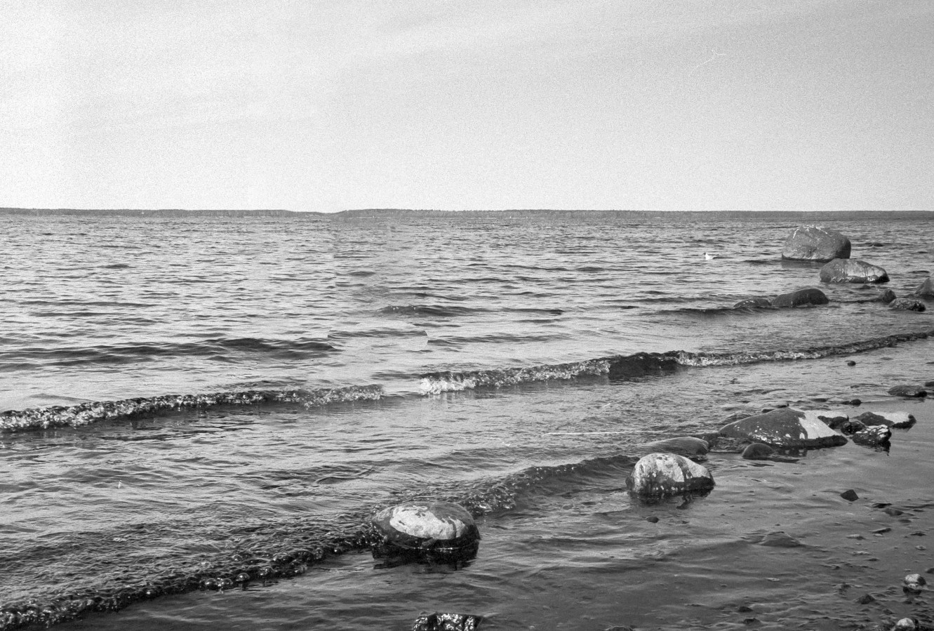 ZORKI_3M_ILFORD_PAN_100_at_200_RDN_1-25_13_min_20C_APRIL_2025-0048