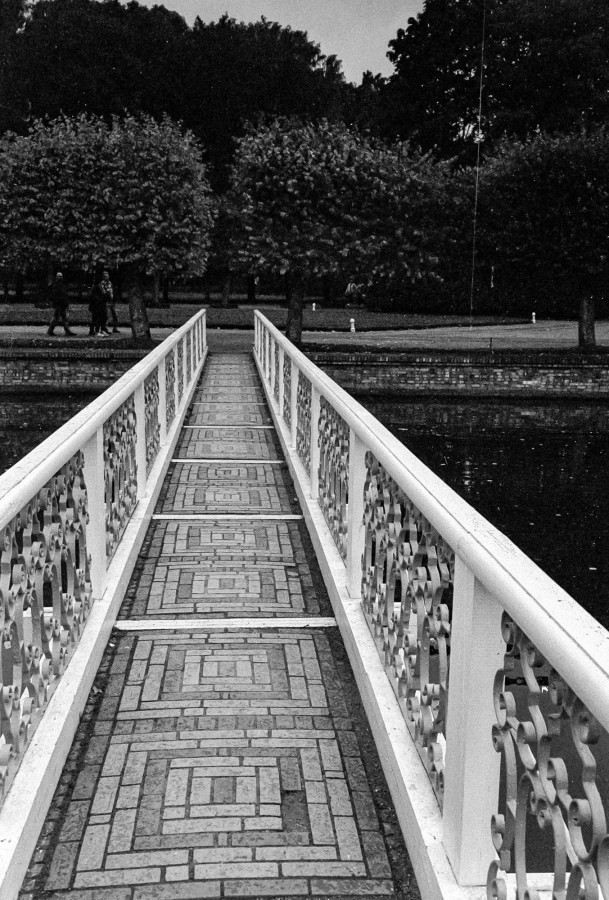 ZORKI_6_JUPITER_12_FOMAPAN_100_at_200_RDN_HQ_1X100_20_min_september_2021_67