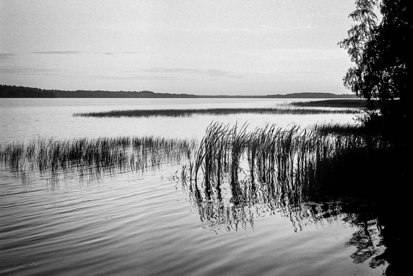 ZORKI_I_JUPITER_12_FOMAPAN_100_at_200_RDN-LQ_1x50_12_min_august_2022_131