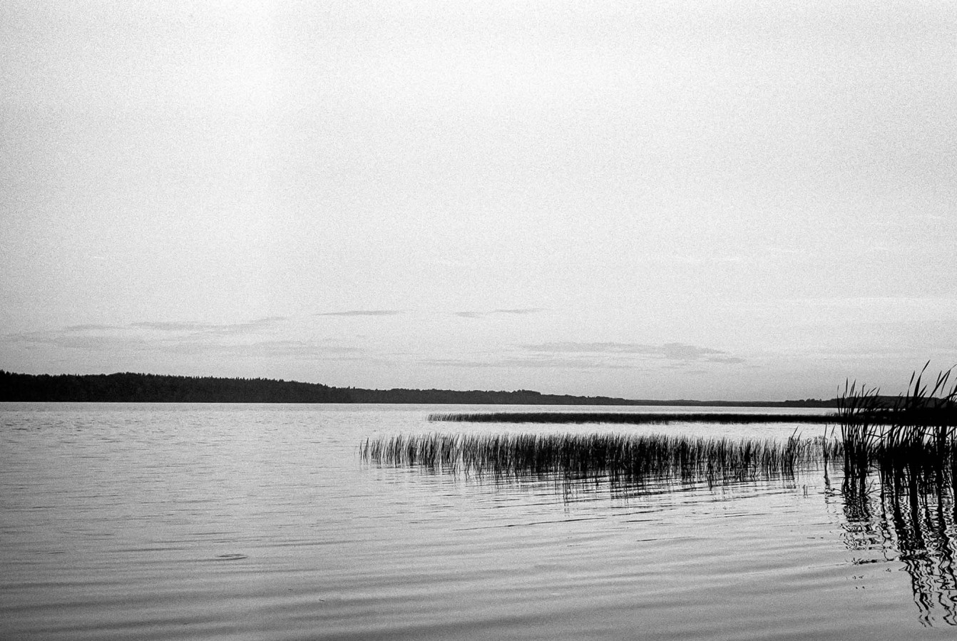 ZORKI_I_JUPITER_12_FOMAPAN_100_at_200_RDN-LQ_1x50_12_min_august_2022_181