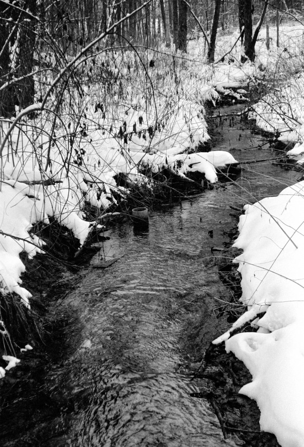 ZORKI_I_KENTMERE_100_at_200_D_76_1X1_15min_30s_january_2021_261