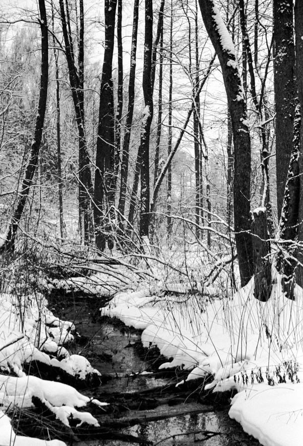 ZORKI_I_KENTMERE_100_at_200_D_76_1X1_15min_30s_january_2021_271