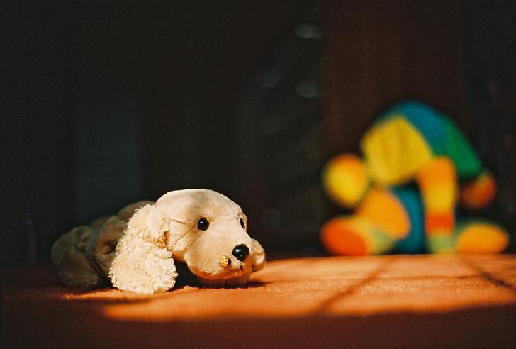 doggy
