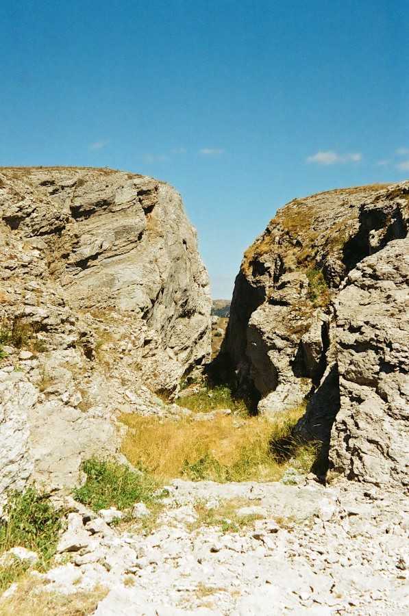 image406