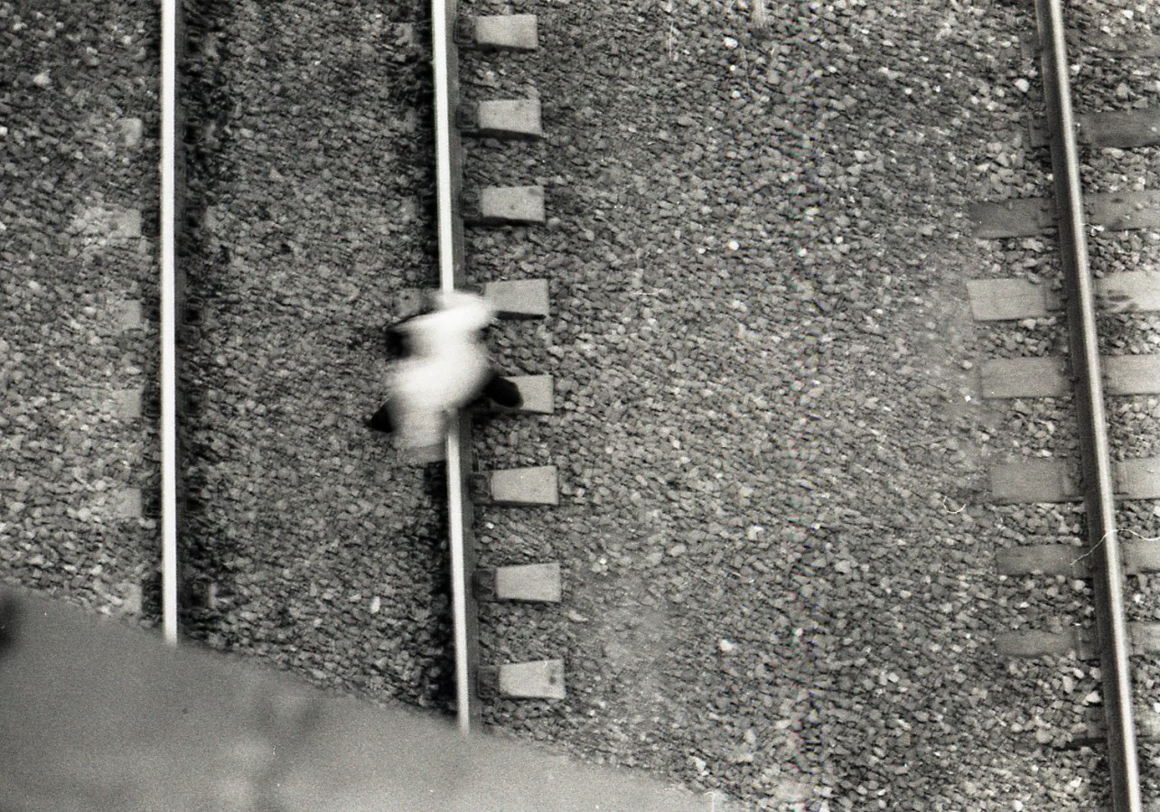 img00621