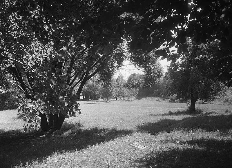 img213-222