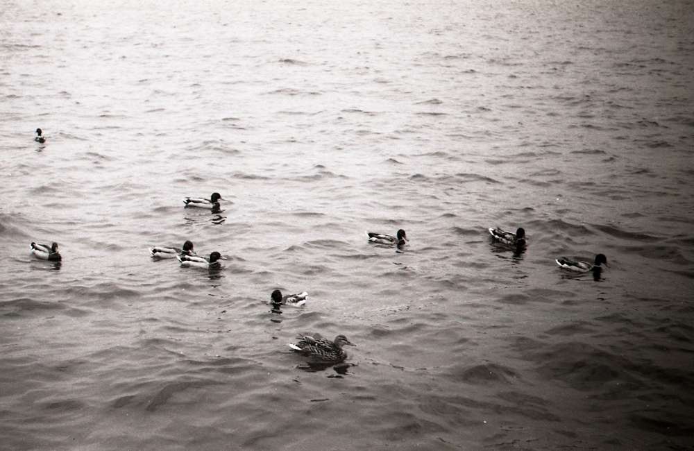 img708_copy