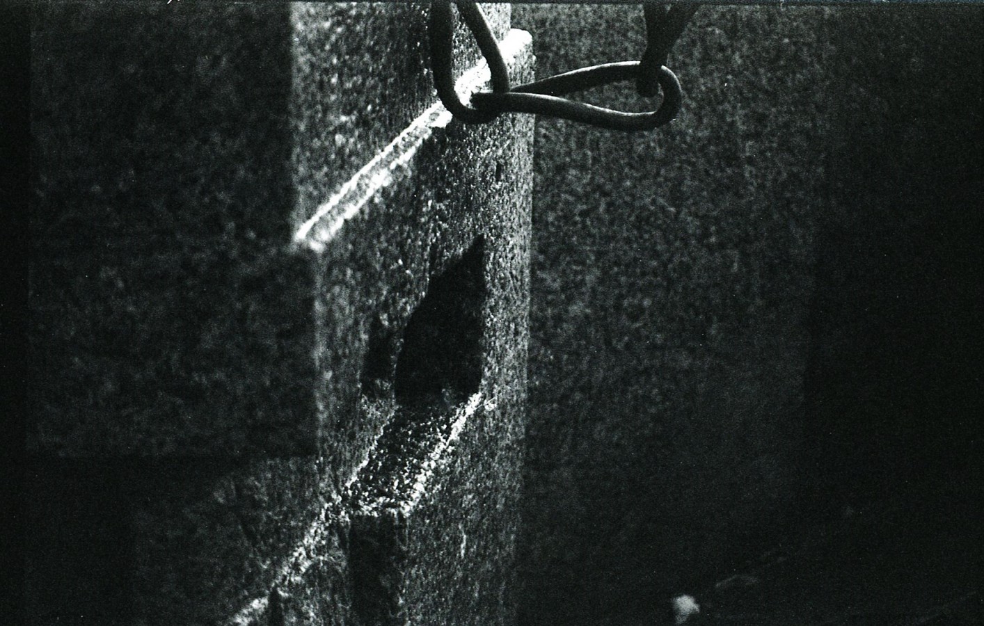 img7241
