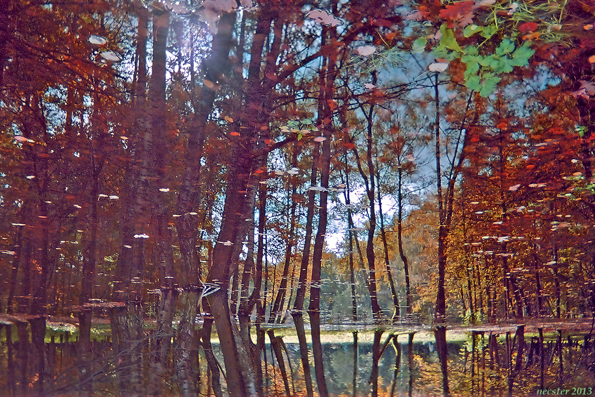 mid_otrajenie