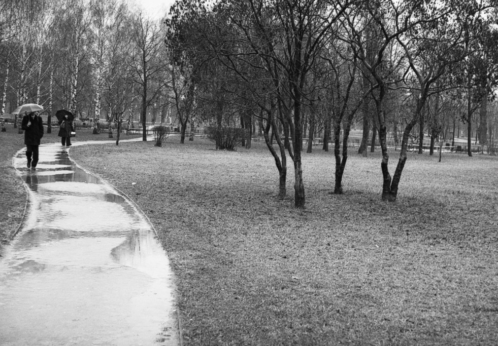 rain4