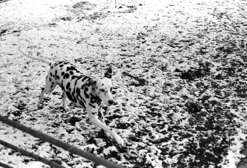rollei-retro-jan-15_rs