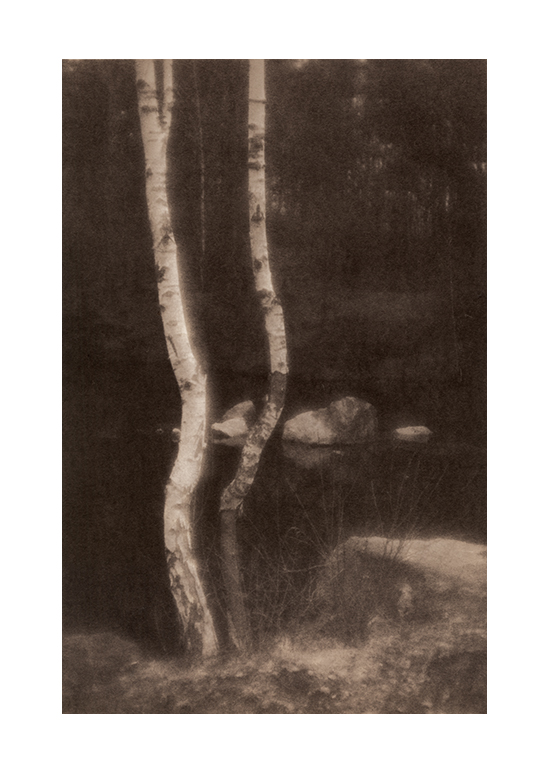 scan001611